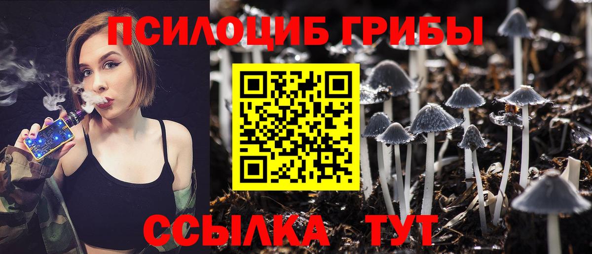 Псилоцибиновые грибы Cubensis Камышин